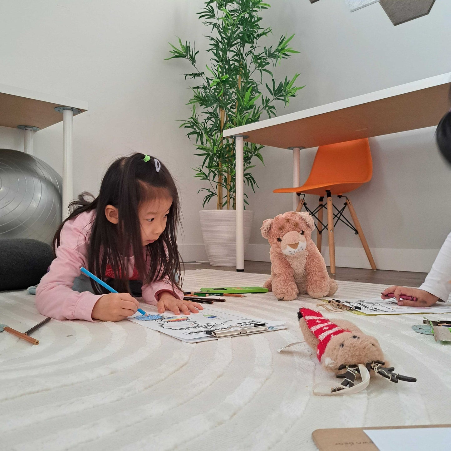 Black Friday Spring Camp (1 Week)