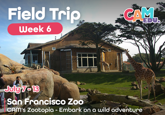 Field Trip: San Francisco Zoo (Week 6)