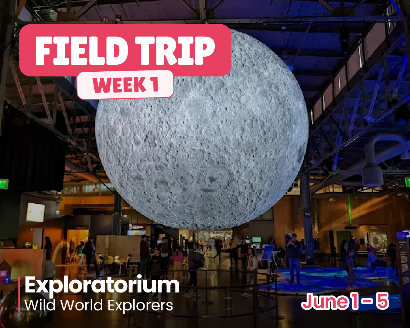 Field Trip: Exploratorium (Week 1)