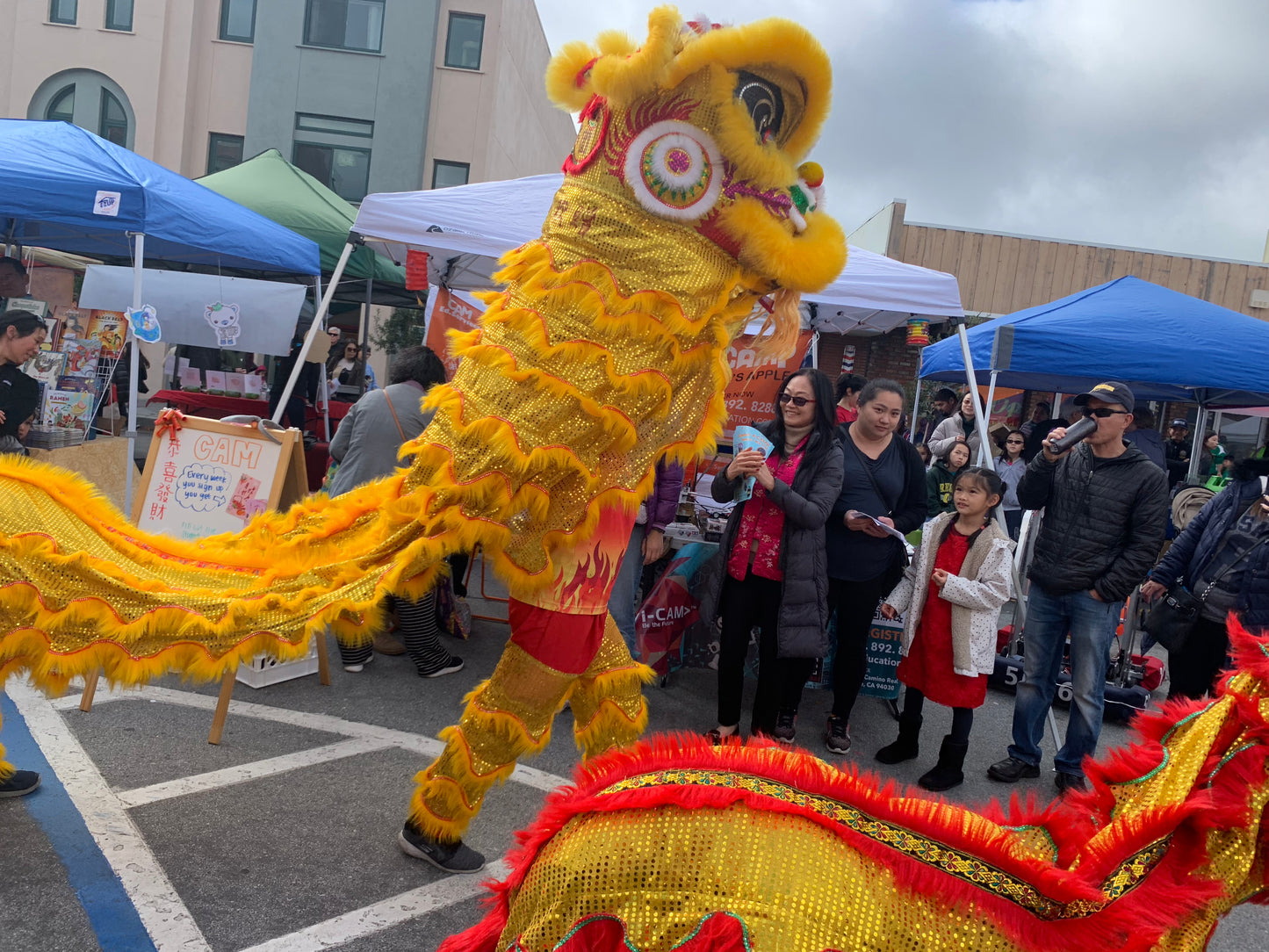 Bay Area c-CAMp SUMMER CAMP (Chinese)