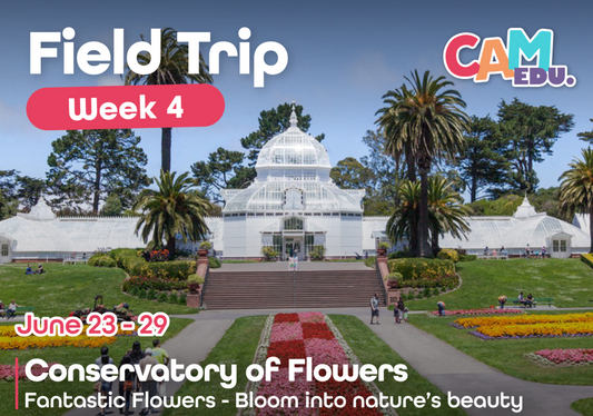 Field Trip: Conservatory of Flowers (Week 4)