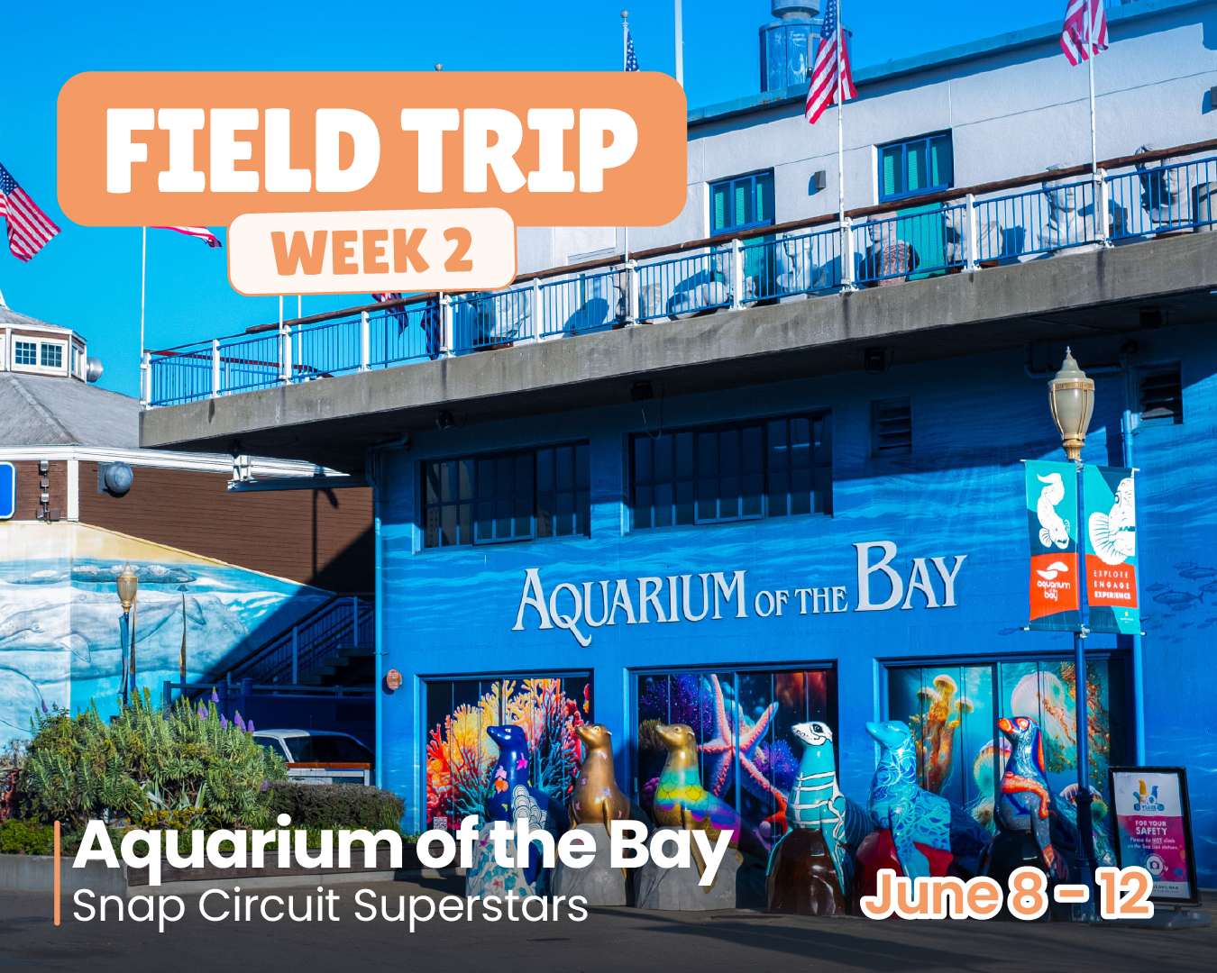 Field Trip: Aquarium of the Bay (Week 2)