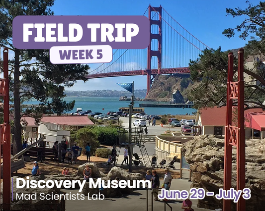 Field Trip: Discovery Museum (Week 5)