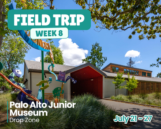 Field Trip: Palo Alto Junior Museum (Week 8)